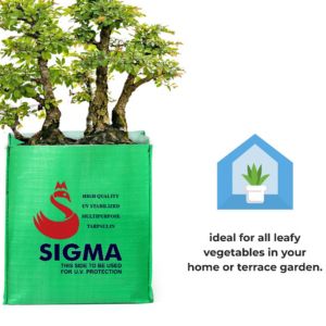 Plant Grow Bags / Plant Container 350 GSM For Balcony Terrace Home Gardening (HDPE)