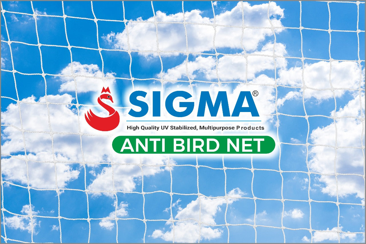 Sigma_Anti_Bird_Net